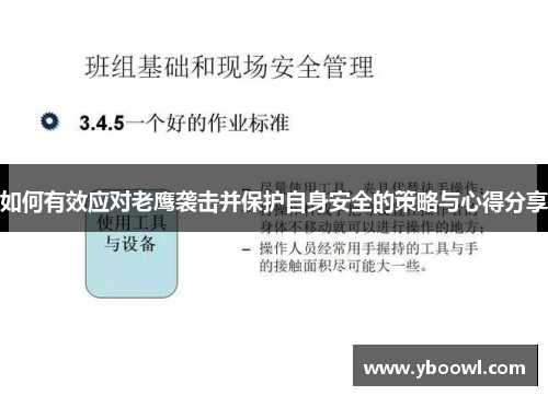 如何有效应对老鹰袭击并保护自身安全的策略与心得分享
